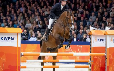 Euro-Cool stallions close the Stallion Competition with great results