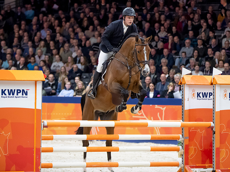 Euro-Cool stallions close the Stallion Competition with great results