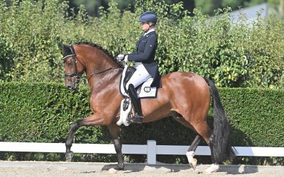 Night of the Proms Apple debuut Prix St. George