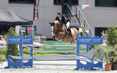 Noble Apple verkocht aan Simon Delestre