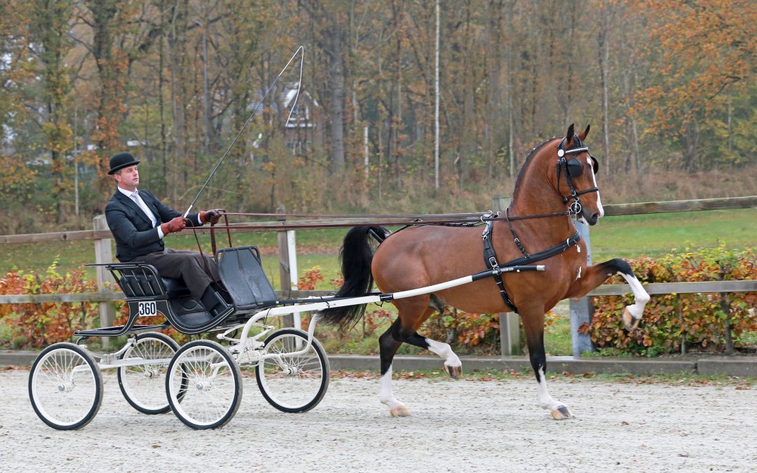 Norking Apple verkocht