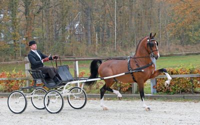 Norking Apple verkocht
